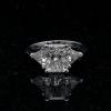 Ring 1553-4